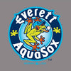 Everett AquaSox Ladies's Zig-Zag Quarter Zip